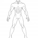Normal Man Template